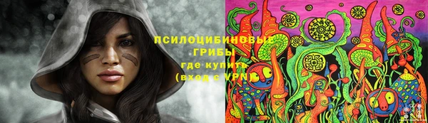 прущий лед Алзамай