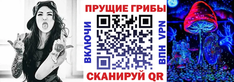 Псилоцибиновые грибы Psilocybine cubensis  цены наркотик  Костерёво 