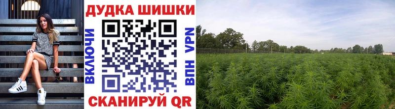 Канабис Amnesia Костерёво